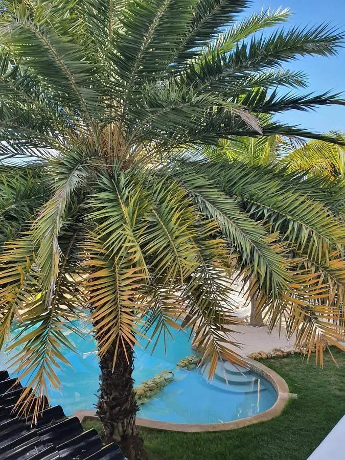 A1 Apartment Budget At Jan Thiel Curacao